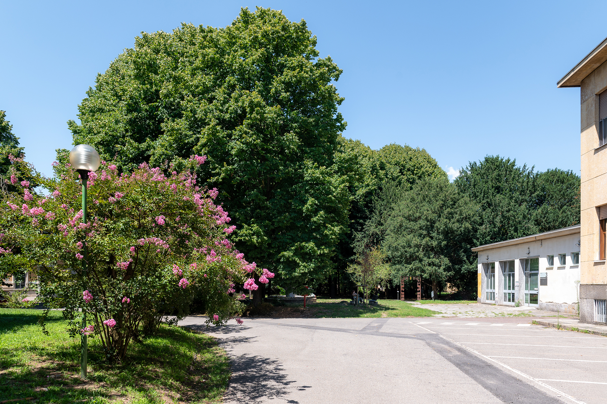 dynamis_location_gallery-3